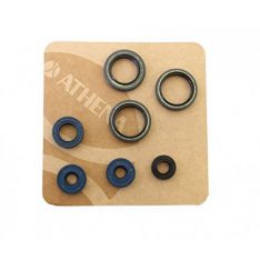 ATHENA Engine Oil Seal Kit Rotax 123 (AF1 / Futura/Extrema up to 95)