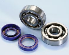 Polini Crankshaft bearing and oil seal kit Aprilia RS 50 AM6